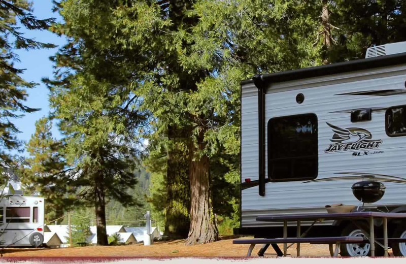 RV campground at The Village at Childs Meadow Resort.