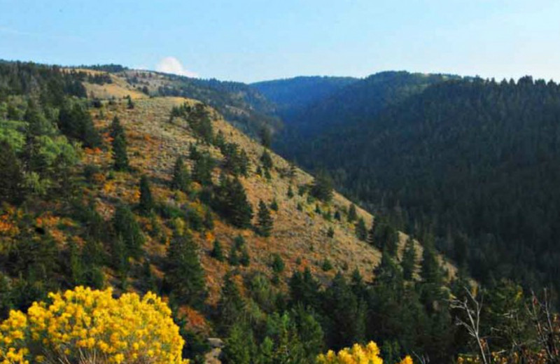 Mountain view at Rocky Mountain Elk Ranch. 