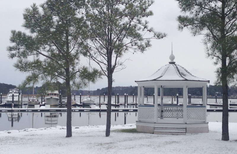 Winter at Osprey Point.