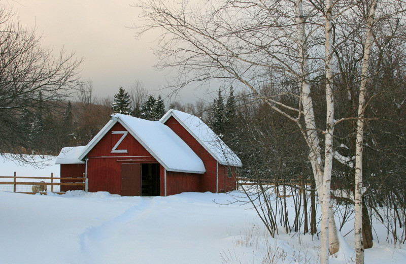 Winter time at Mountain Meadows Lodge.