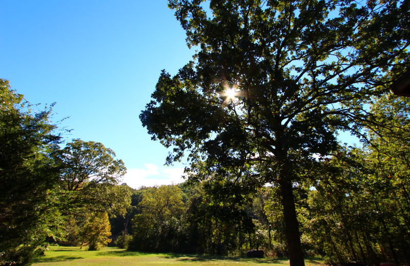 Enjoy the beautiful views at Ozark Cabins.