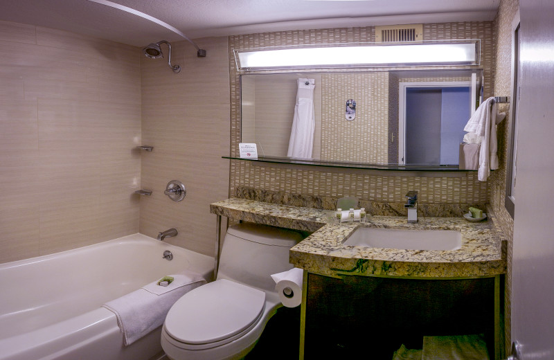 Bathroom at Holiday Inn Golden Gateway Hotel
