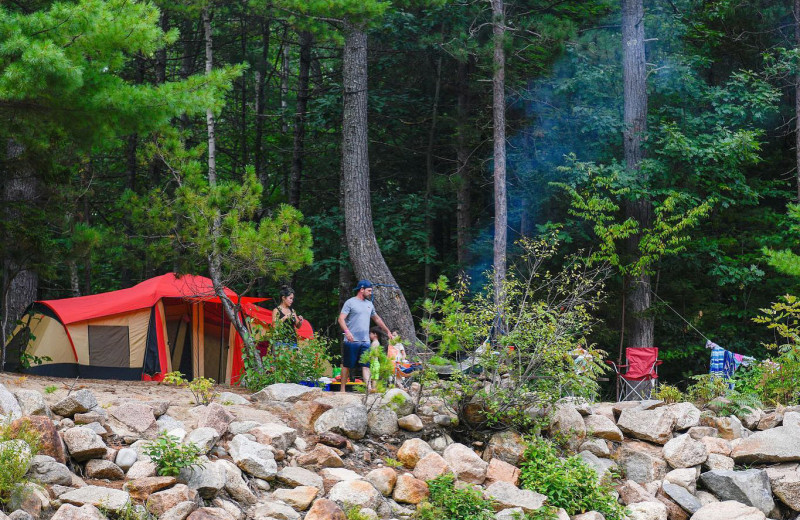 Camping at Yogi Bear's Jellystone Park™ Camp-Resort Glen Ellis.