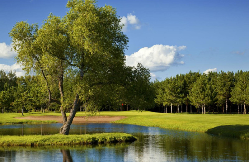 Golf course at Thumper Pond Golf Course & Resort.