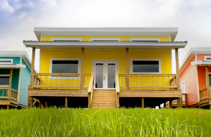 Cabins at D'Arbonne Pointe.