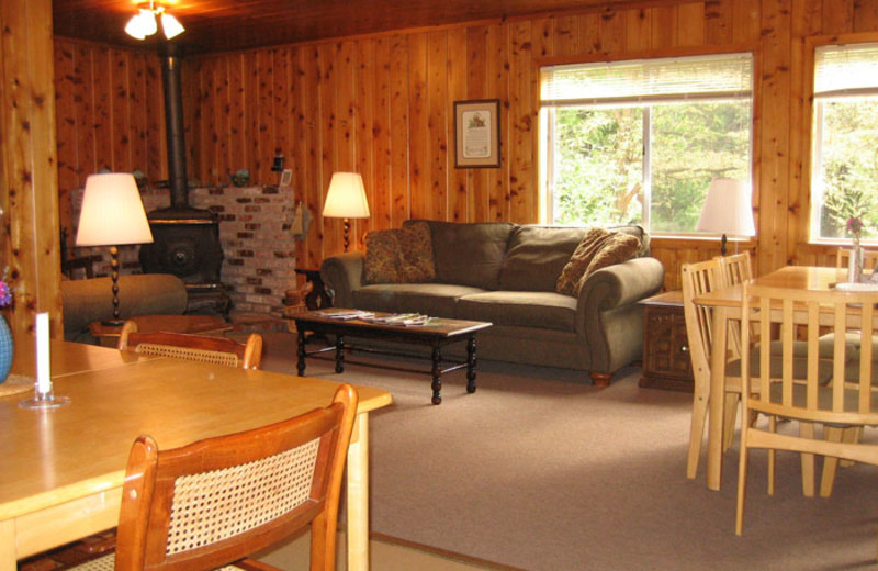 Cabin living room at Ripple Creek Cabins.