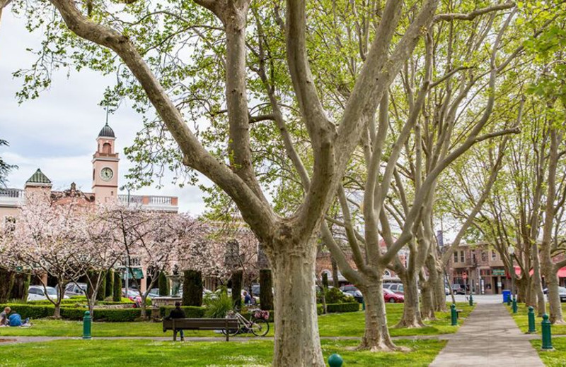 Surrounding area at Best Western Sonoma Valley Inn & Krug Event Center.