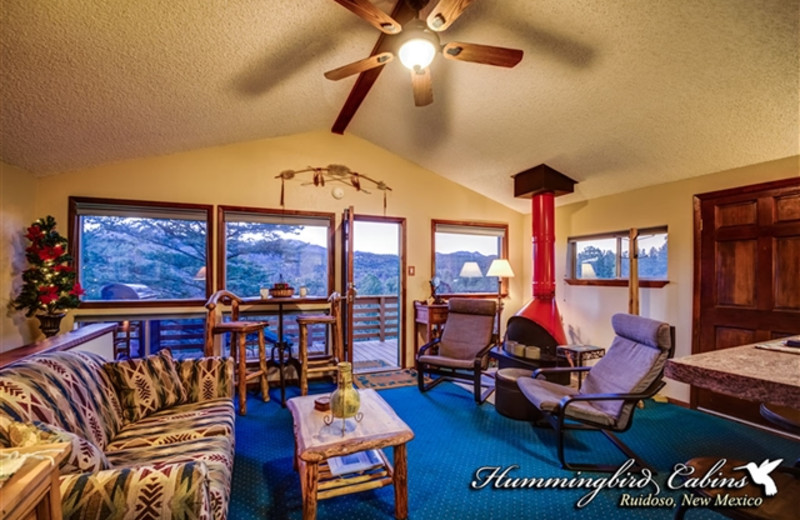 View of living room from kitchen at Hummingbird Cabins - Skyline Cabin Vacation Rental