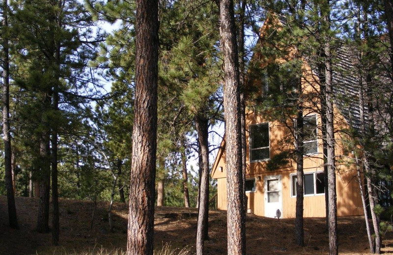 Rental exterior at Edelweiss Mountain Lodging.