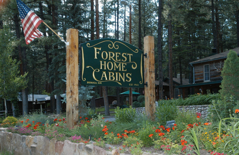 Exterior view of Forest Home Cabins.