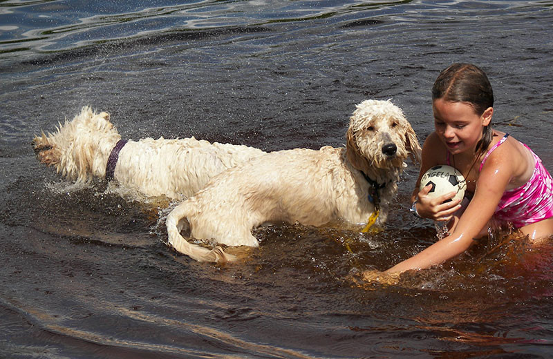 Pets welcome at White Manor Resort.