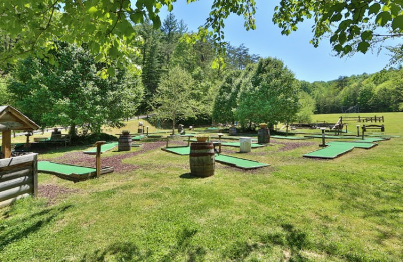 Mini golf at Little Valley Mountain Resort.