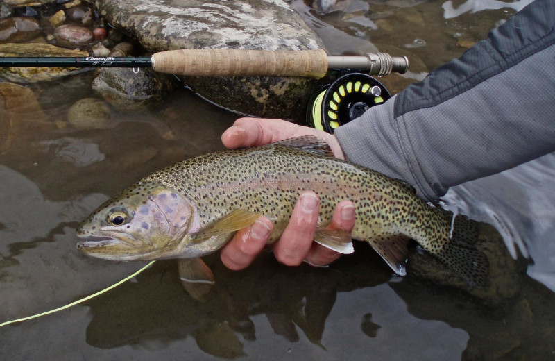 Fishing at Black Diamond Vacation Rentals.