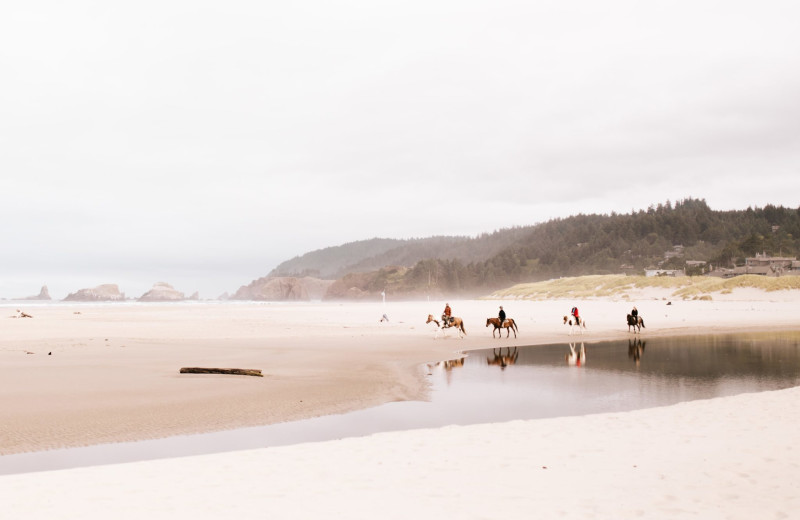 Horseback beach ride at Adobe Resort.