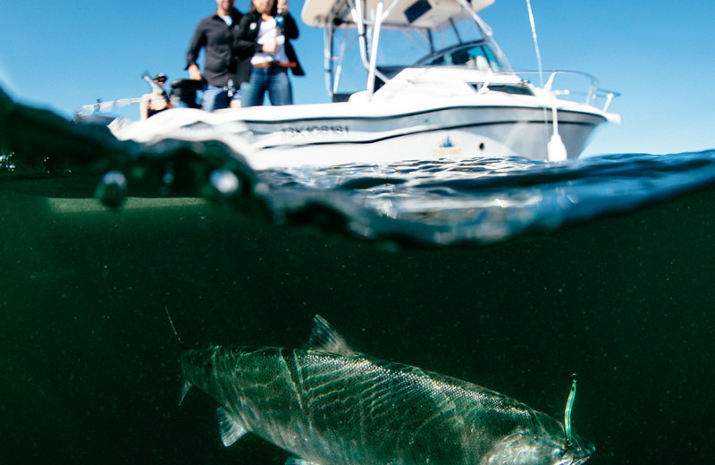 Fishing at Tofino Resort + Marina.