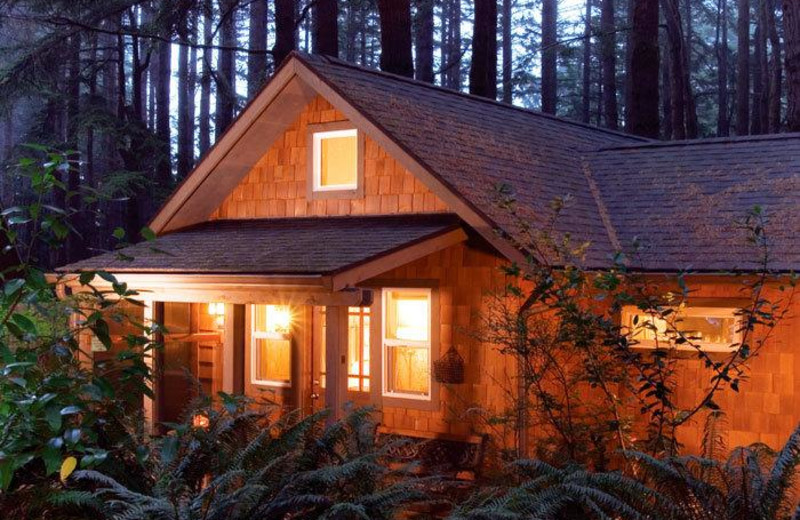 Cabin exterior at WildSpring Guest Habitat.