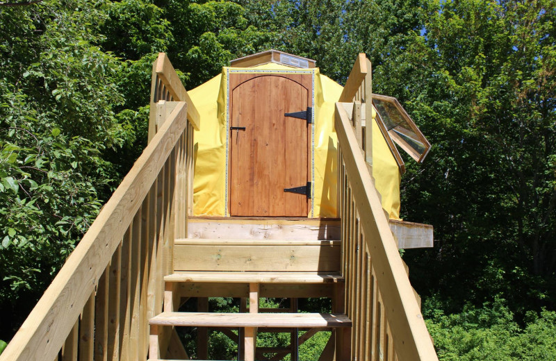 Dome exterior at Cabot Shores Wilderness Resort.