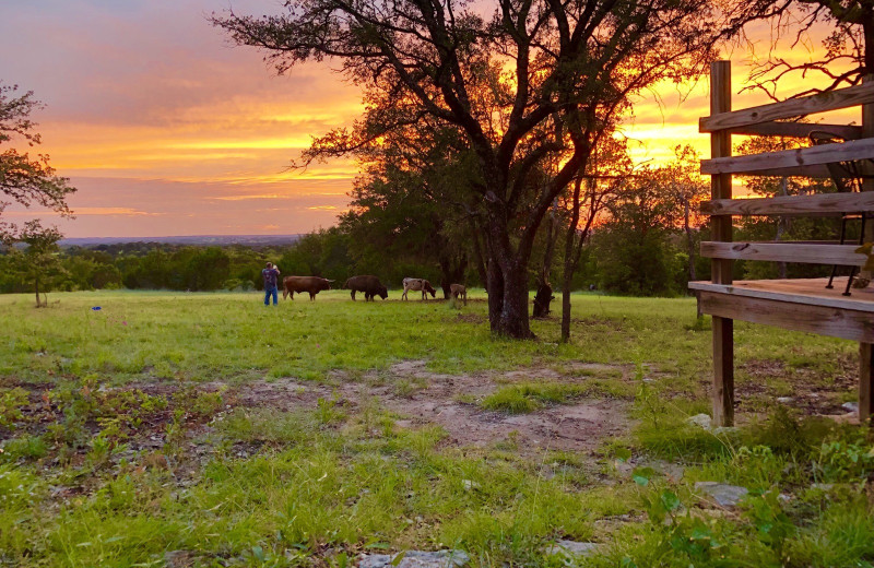 Exterior view of Hideaway Ranch & Refuge.