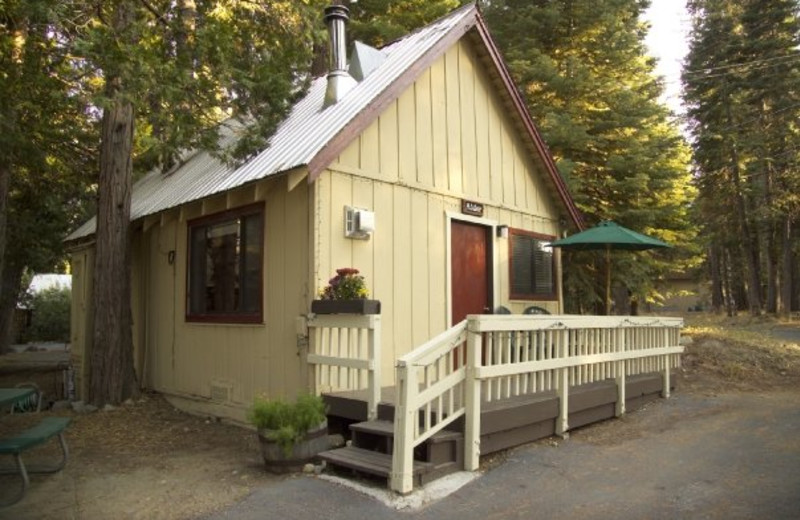 Cabin exterior view at Tahoma Lodge.