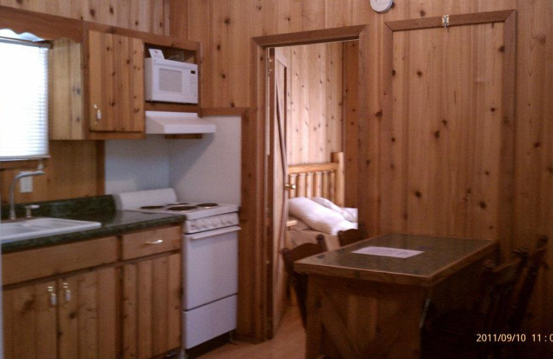Cabin kitchen at Prizer Point Marina & Resort.