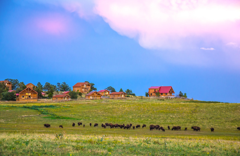 Exterior view of Zion Mountain Ranch.