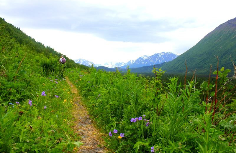 Hiking trail at Soldotna B&B Lodge and Alaska Fishing Charters.