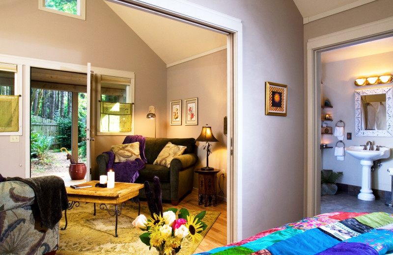 Cabin interior at WildSpring Guest Habitat.