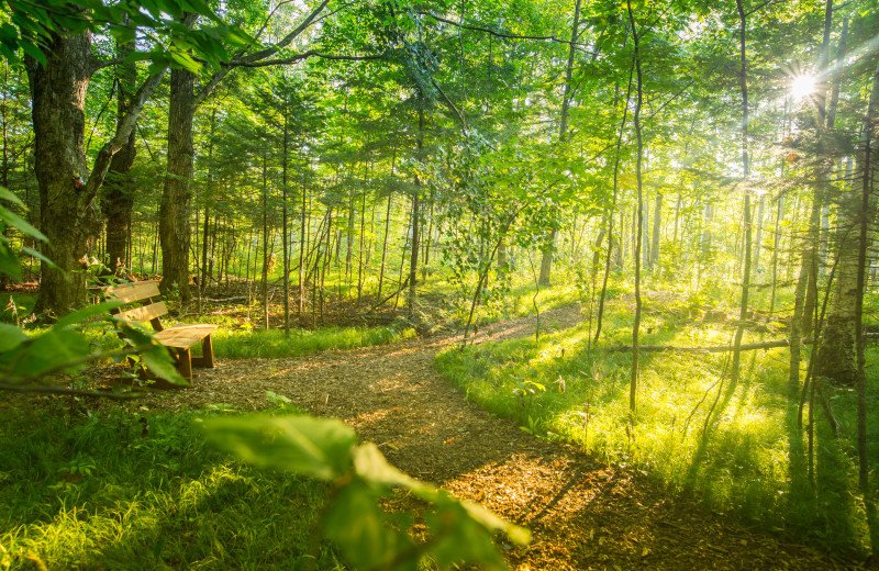 Trail in forest at Door County Cottages.