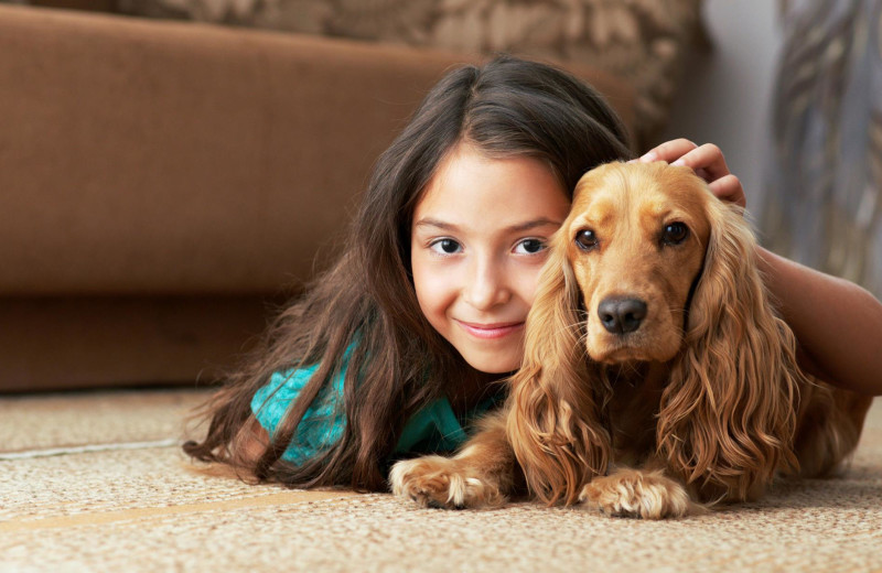 Pets are welcome at Obertal Inn.