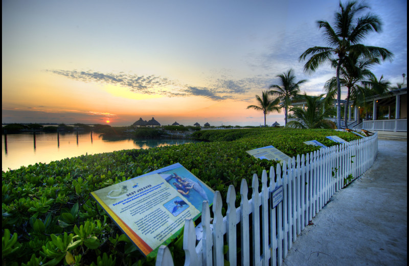 hawks key resort duck key