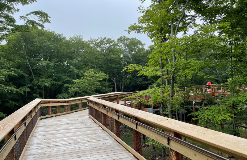 Boardwalk at High Point Inn.