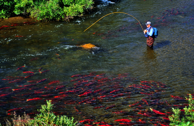 Fishing at King Salmon Lodge.