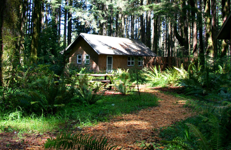 Cabin exterior at WildSpring Guest Habitat.