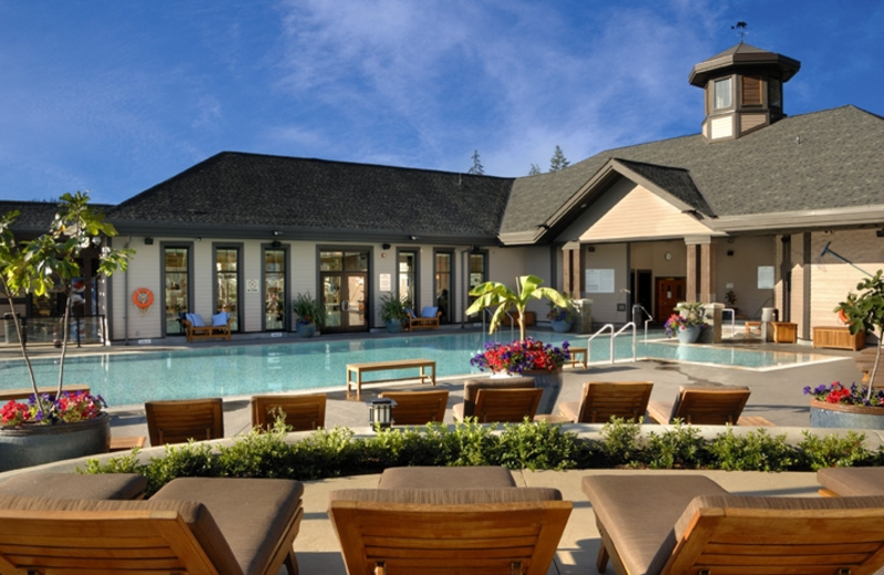 Outdoor pool at The Westin Bear Mountain Golf Resort.