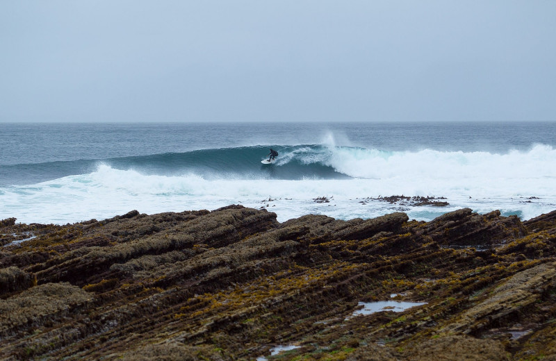 Surfing at Nootka Wilderness Lodge.