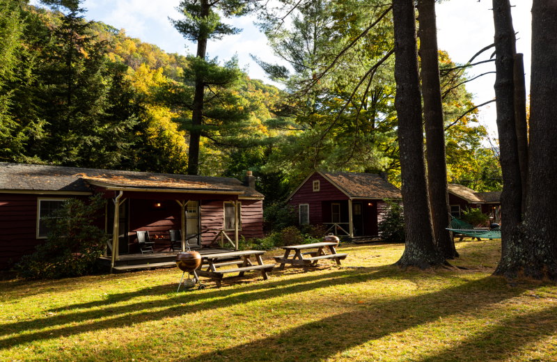 Exterior view of Phoenicia Lodge.