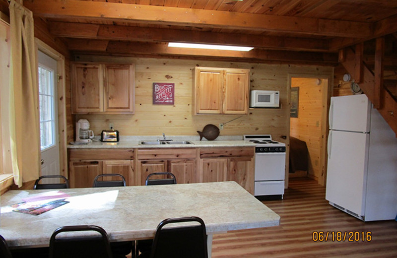 Cabin kitchen at Little Norway Resort.