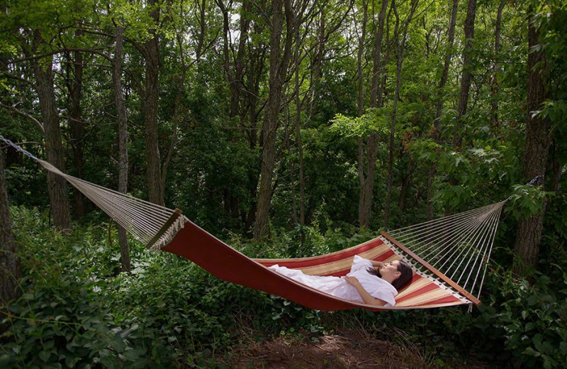 Hammock at Ste. Anne's Spa.
