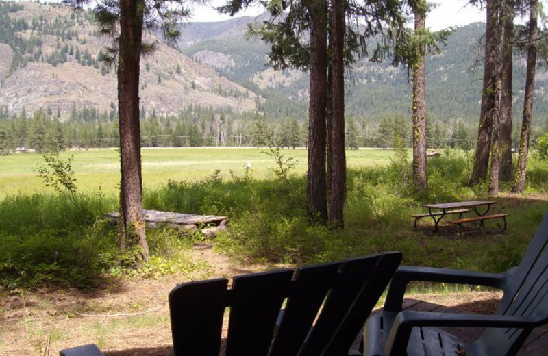 View from Timberline Meadows Lodges.