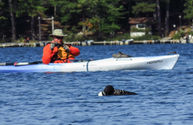 Canoeing at White Birch Village Resort.