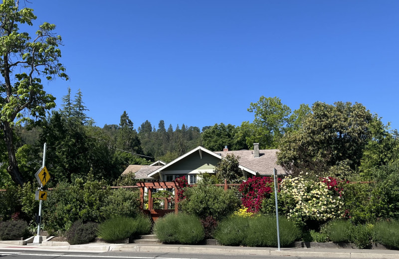 Exterior view of Wood Hamlet AirBnB.