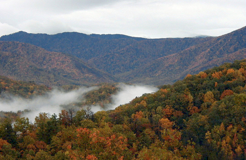 Area Surrounding The Lodge at Buckberry Creek