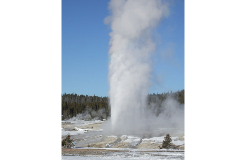 Old faithful at Rimrock Dude Ranch.