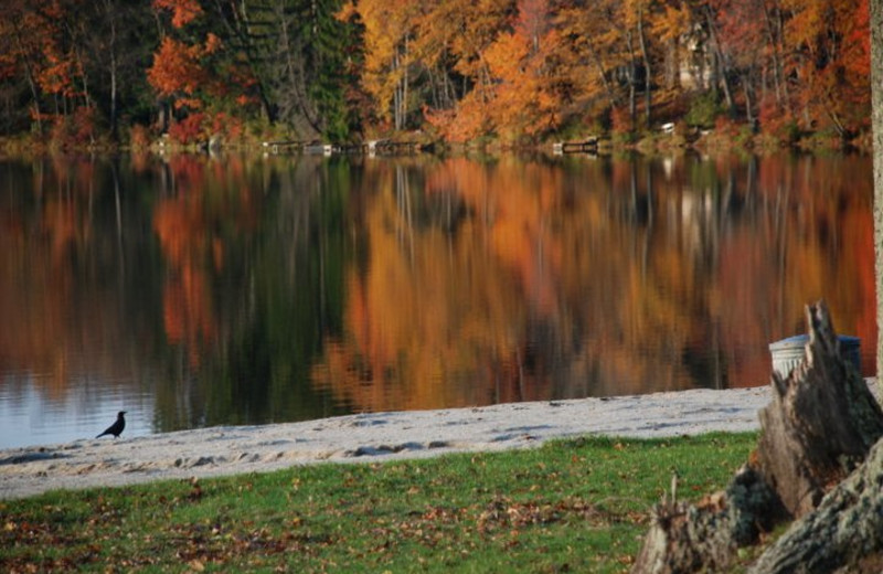 The Lake at East Shore Lodging