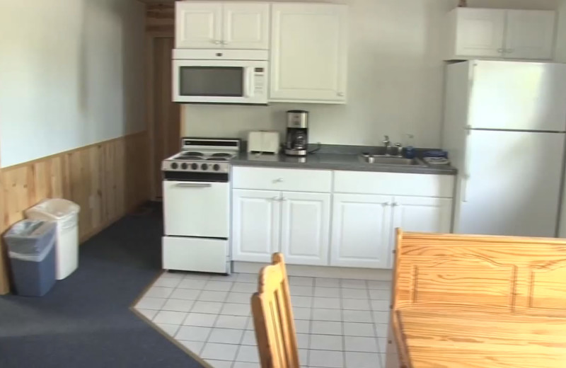 Modern cabin kitchen at Zippel Bay Resort.