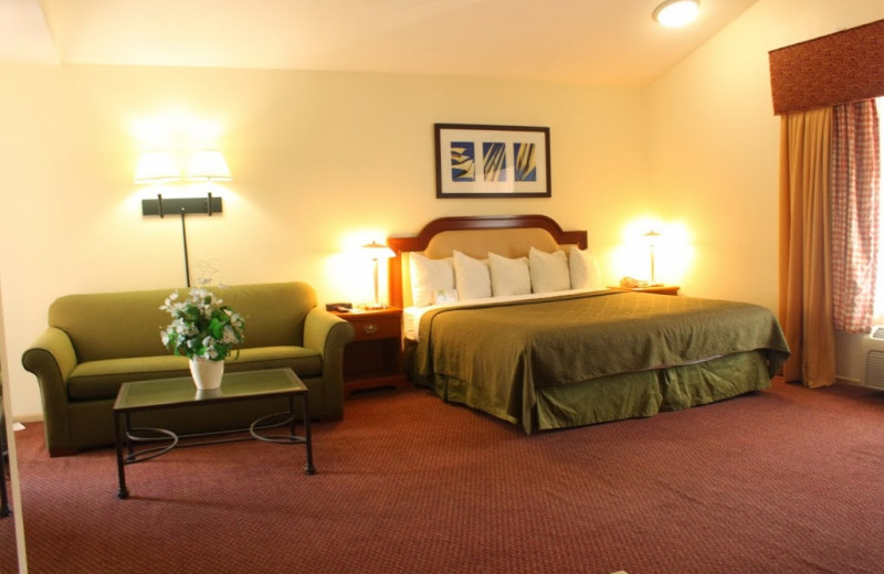 Guest room at Portofino Beach Inn.