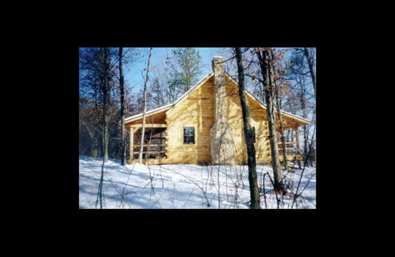 Cabin exterior at Honey Fork Properties.