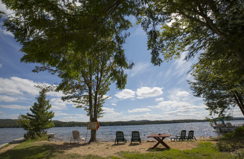 Lake view at Palmer Point Cottages.