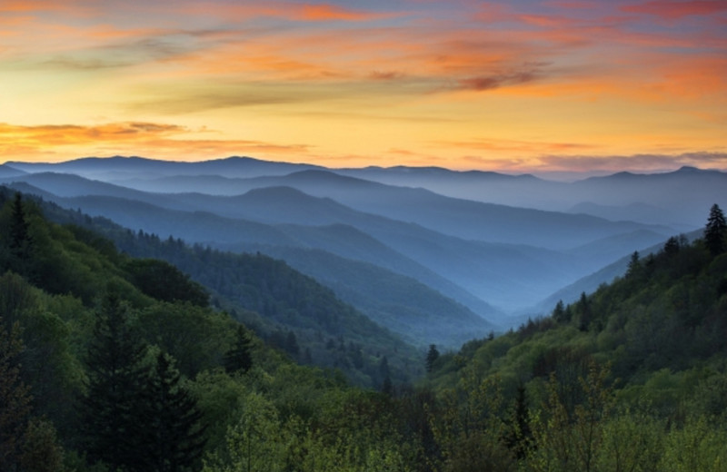 Mountains near The Alcove at Luray.