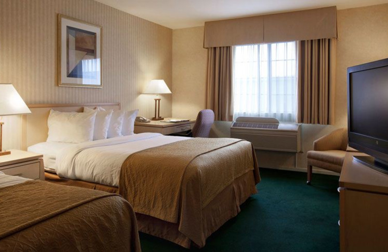 Guest Room at Quality Inn Petaluma